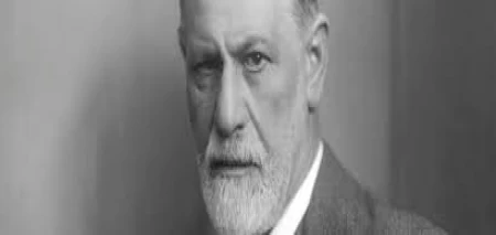 Diferenças Entre Linhas da Psicologia